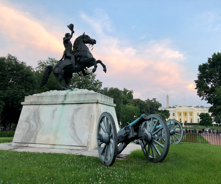 Equestrian statue and cannons in park with White House and Washington Monument in background.